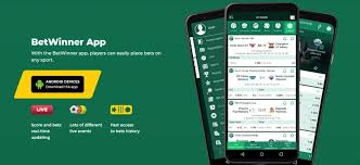 Ultimate Guide to BetWinner Casino Betting 15